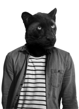 Álvaro, developer