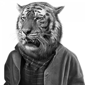 Jaime, developer