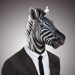 Juan, content manager
