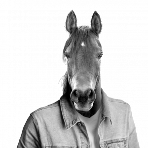 Pablo, growth hacker